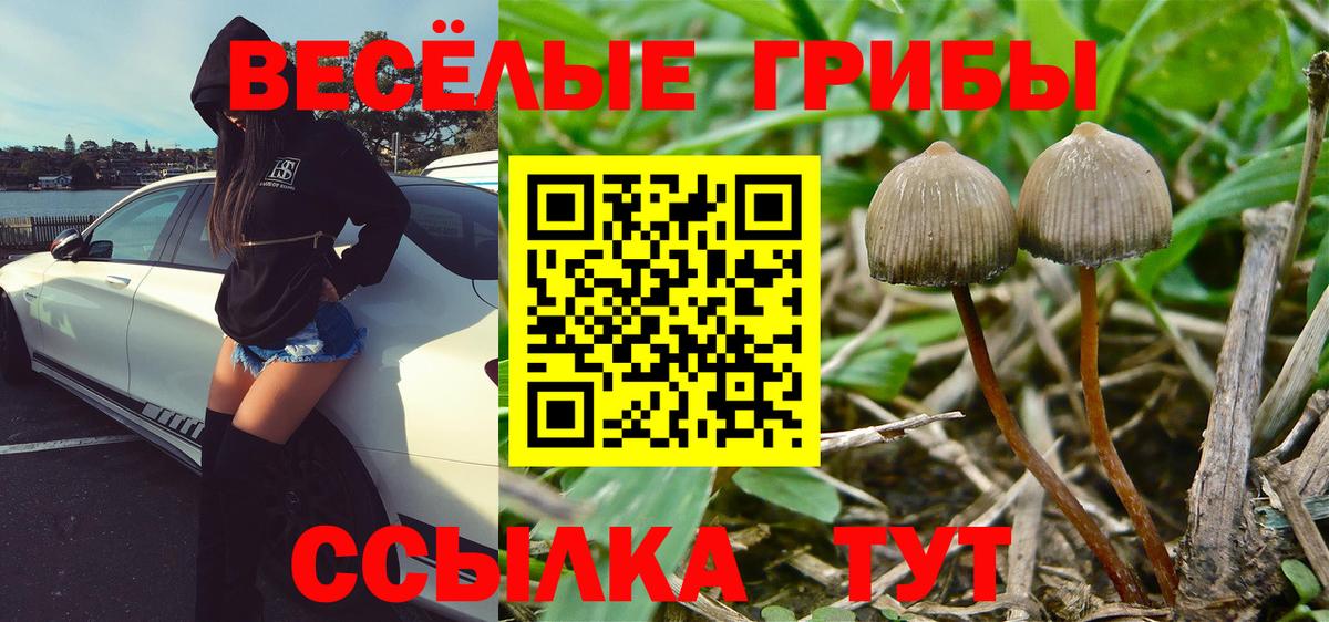 Галлюциногенные грибы GOLDEN TEACHER  Вход с VPN  Видное 